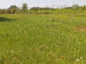 Участок в пос. Нати