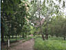 Трох комнатная квартира на Балковской ЖК  7- Самураев