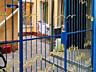 Продаж: 3-кімнатна квартира 43 м² із ВЛАСНИМ ДВОРОМ у самому центрі 