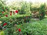 ЕСТЬ ГЕНЕРАТОР. Аренда дома в Лесниках, Киево-Святошинский район. В ..