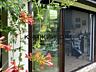 Продажа шикарного дома в Буче, 225/102/21 кв.м, 5 комнаты, участок 5 .