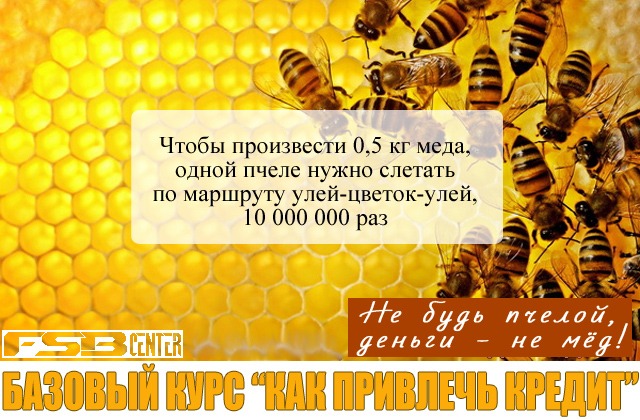 Сколько пчелы дают. Одна пчела немного меду натаскает. Сколько дает меда 1 пчелосемья. Пчела сколько меда производит 1 день.