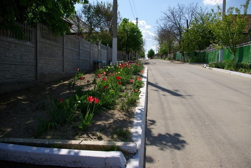 Погода в вулканештах на 6 дней