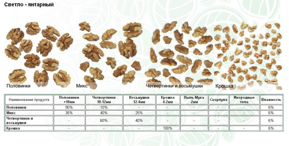 Калорийность грецкого ореха без скорлупы. Размер грецкого ореха. Диаметр грецкого ореха. Калибры фундука. Классификация размеров ореха.