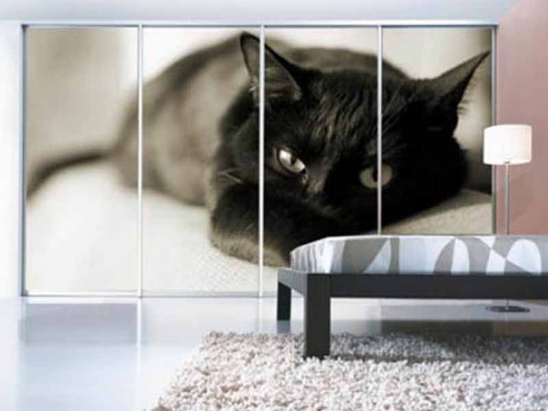 Шкаф для кошек. Сибирская полудлинношерстная кошка. Купекот. Шкаф купе 1200. Европейская короткошерстная кошка полосатая.