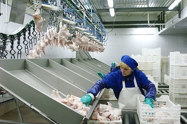 Где Купить Продукцию Нерюнгринской Птицы Фабрики