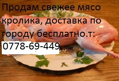 Образец объявления о продаже мяса кролика