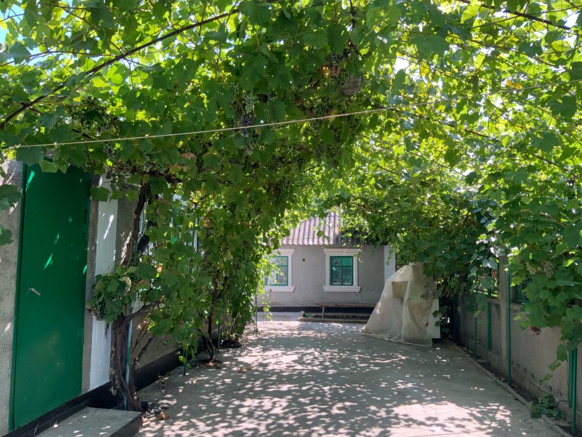 Купить Дом В Николаевской Области Украина