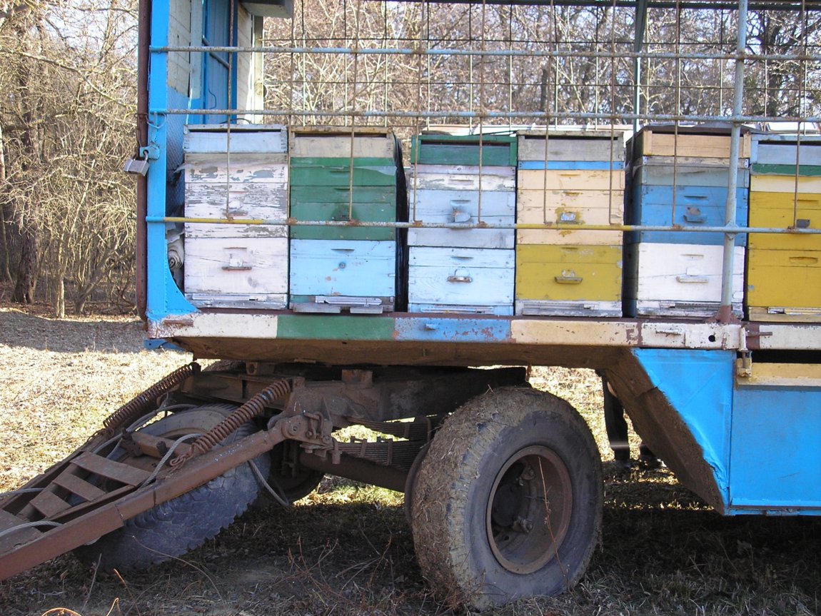 Купить прицеп для пчел. Прицеп 7135 “пчеловод” (“Прогресс”). Грузовой прицеп 7135 “пчеловод”. Прицеп Прогресс пчеловод. Прицеп для пасеки 2022.