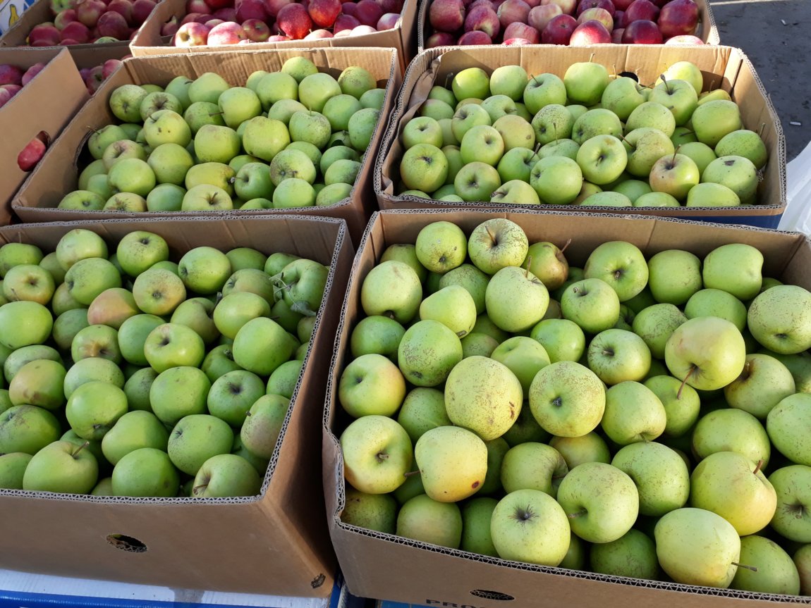 Яблоки оптом от производителя. Яблоки в магните сорта. Продаю яблоки. Сбыт яблок. В магазине продаются яблоки.