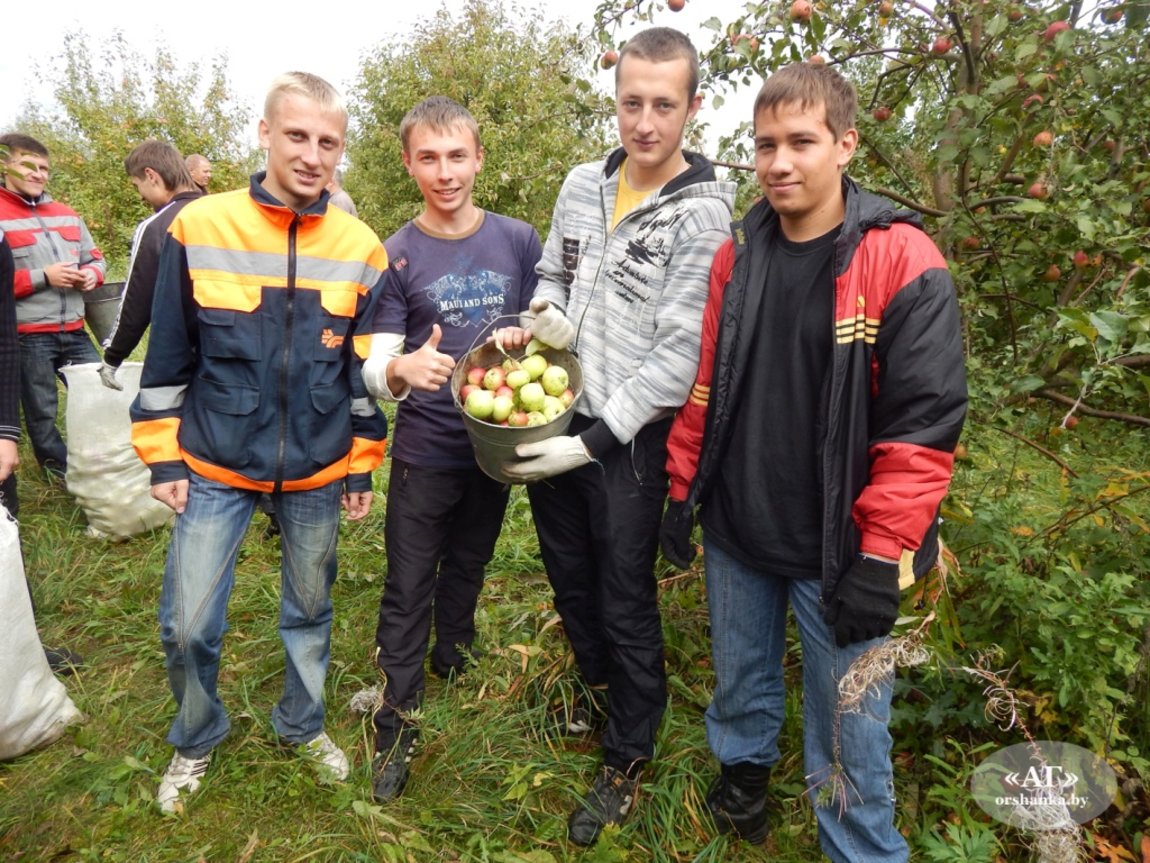 Работа ТираспольБендеры