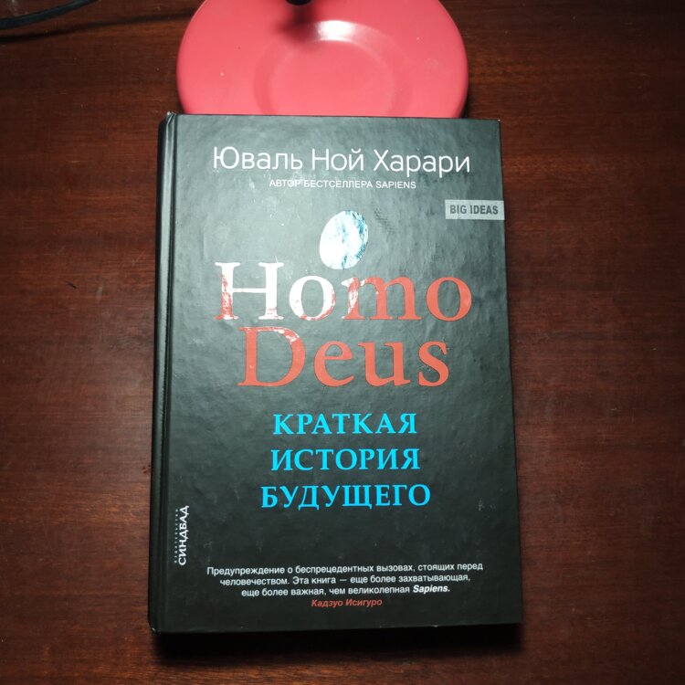 Homo deus краткая история. Краткая история будущего. Книга homo Deus.