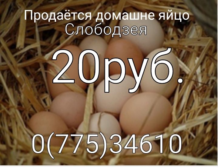 За сколько продать яйцо. Продам яйца куриные домашние. Продам яйцо куриное домашнее картинка. Продам яйцо куриное домашнее объявления. Продам яйцо куриное домашнее реклама.