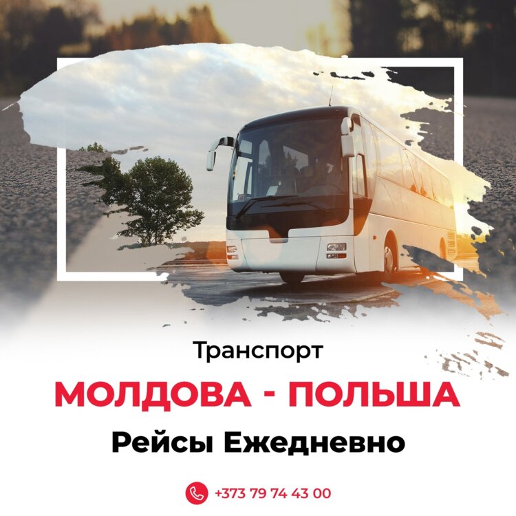 Транспорт молдовы. Автобусные перевозки компании. Компания перевозок. Автобусы Польши. Любою автобус.