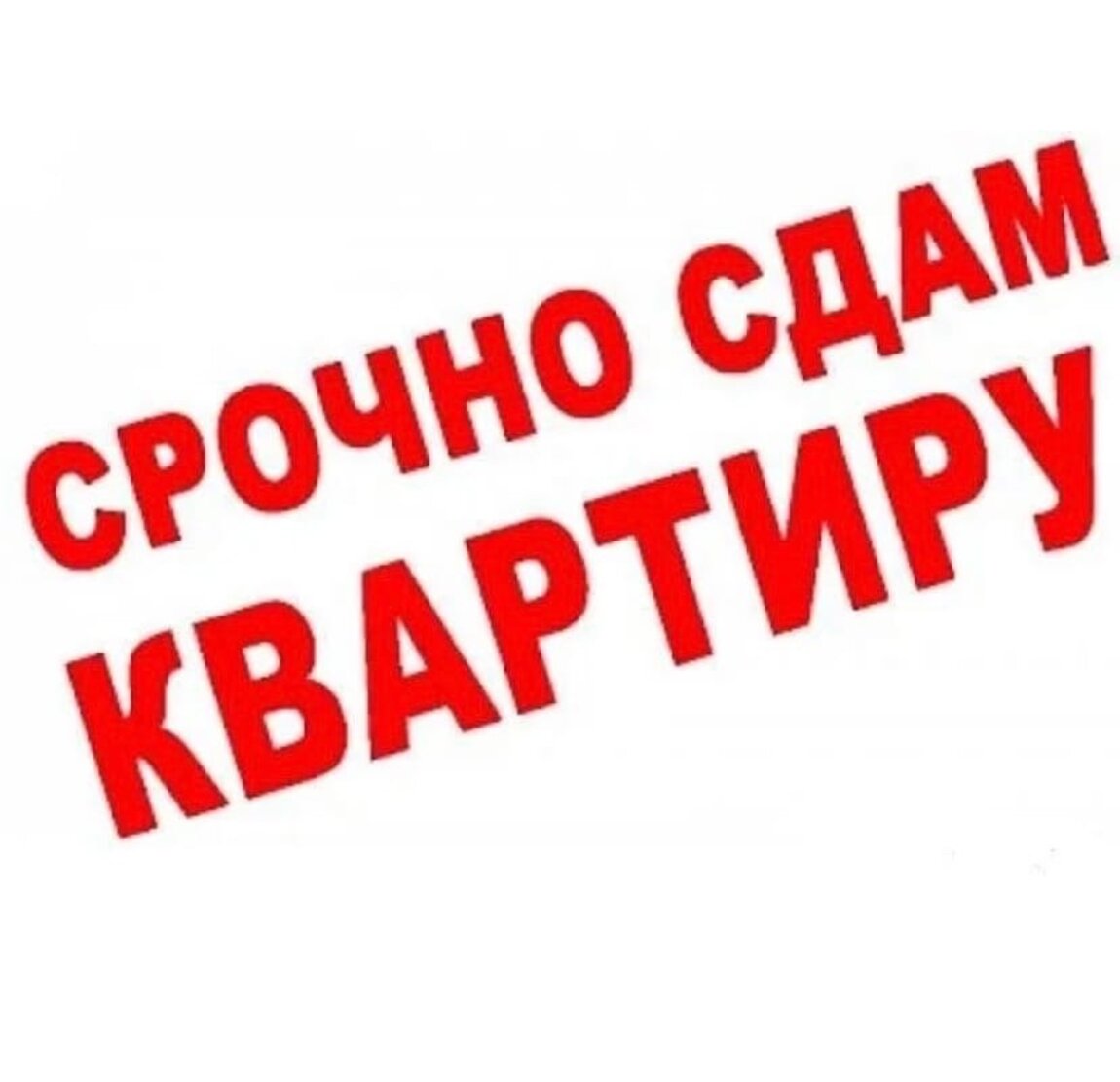 Сдать отозваться. Сдается квартира картинка. Сдам квартиру надпись. Сдаётсяквартира картинка. Надпись жилье.