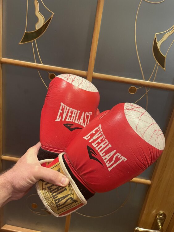 Перчатки Everlast 12 oz