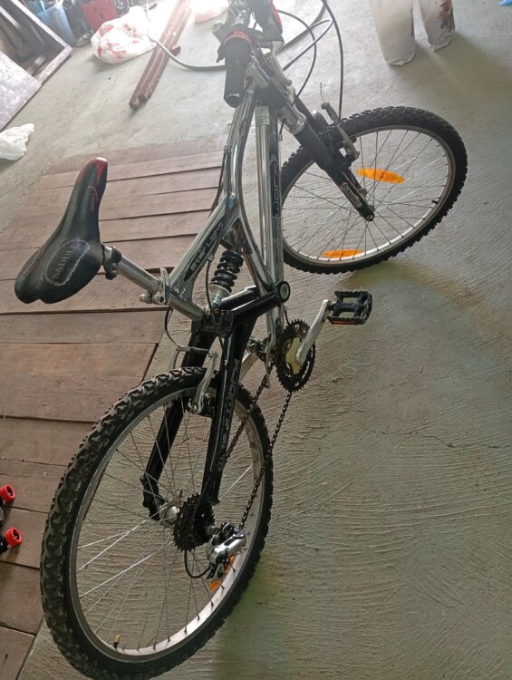 Горный велосипед "WHEELWORX Star Light"