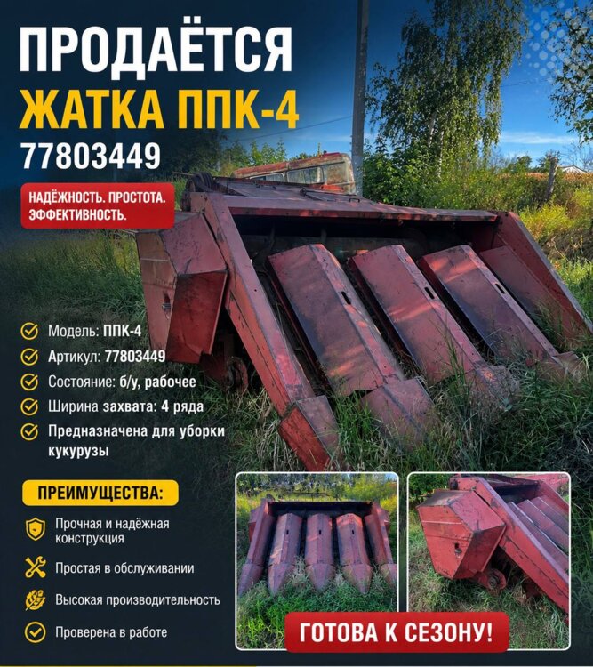 Инжир