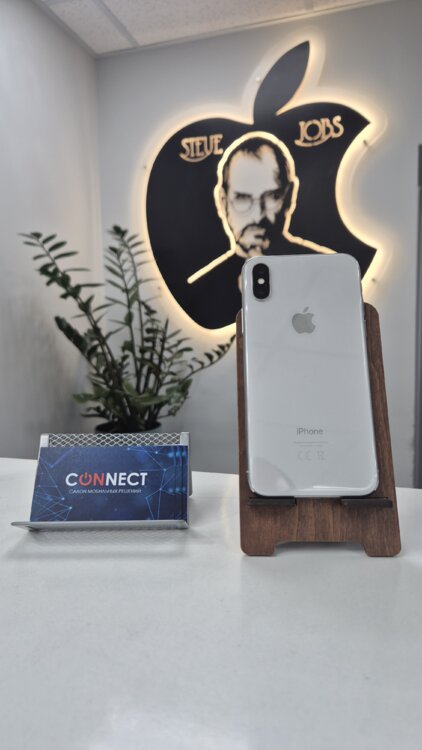 iPhone X