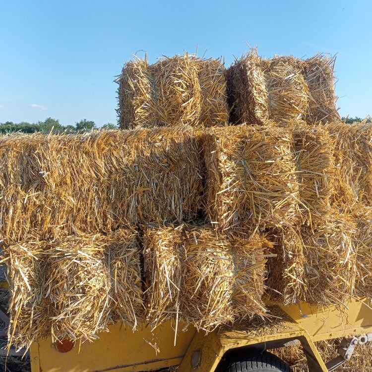 Продам солому ячменную в тюках, тюки плотные, тяжёлые.