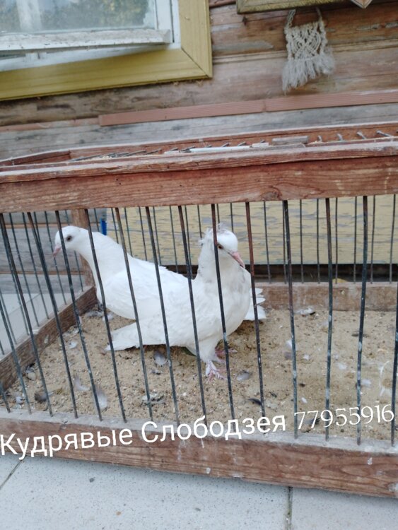 Продам бутсы для футбола размер 38+гетры