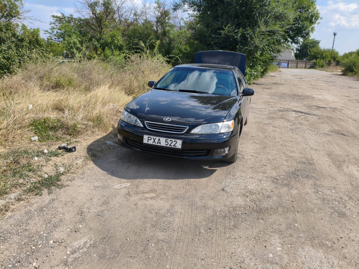 LEXUS ES 300 НЕЙТРАЛЬНЫЕ НОМЕРА