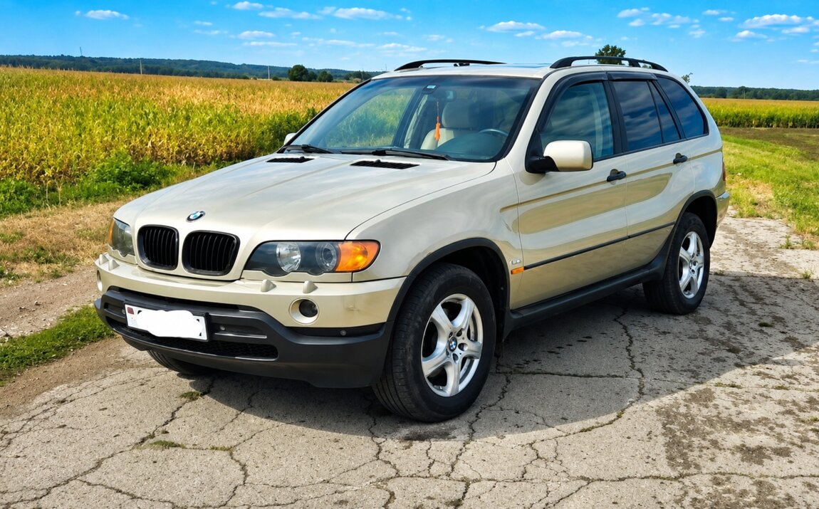 BMW X5 E53