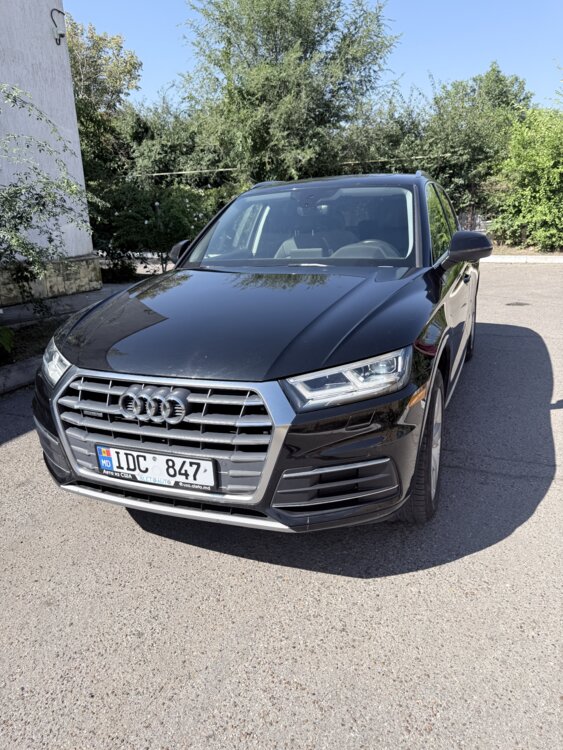 Audi Q5 quattro • 2019 • 2.0 TFSI • 58 390 км
