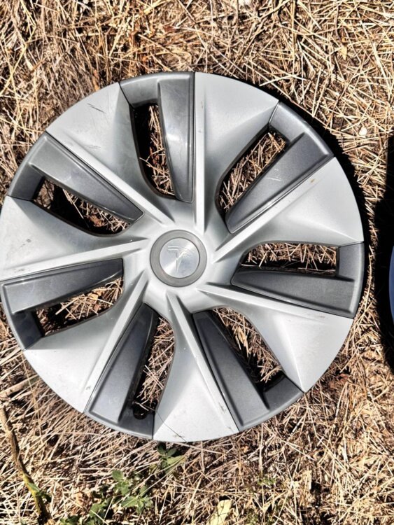 Продам колпаки на диски Tesla R19