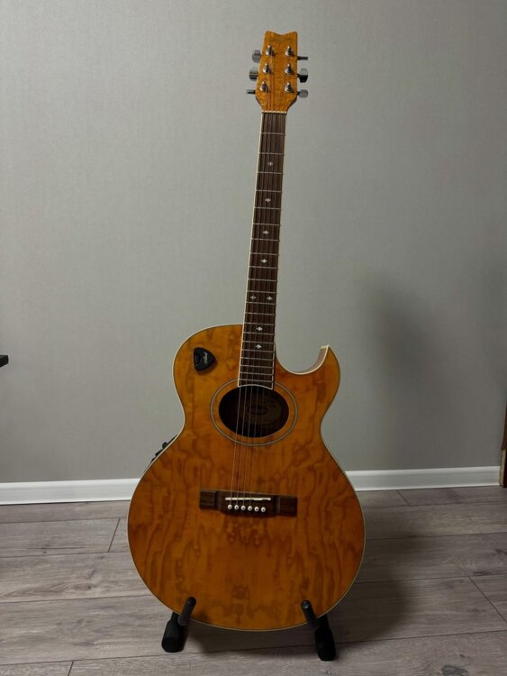 Гитара электроакустическая Washburn EA17N и теплый чехол