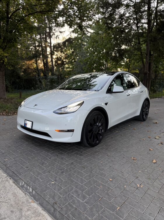 Tesla Model Y Performance