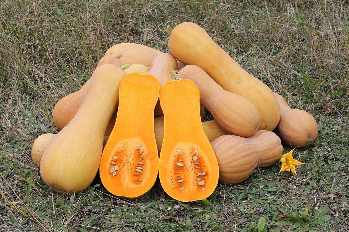 Тыква на продажу