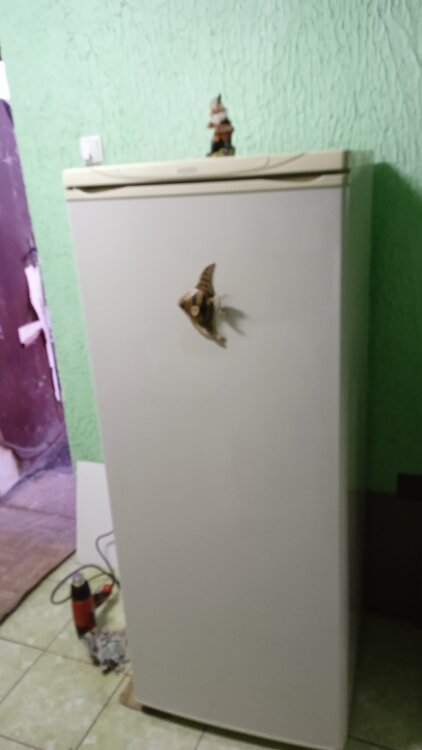 Goldstar трёхкамерный no frost 2.500 возможно доставка
