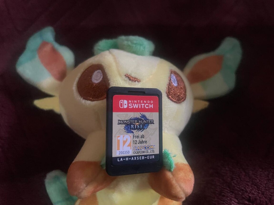 Картридж Monster hunter Rise для Nintendo switch