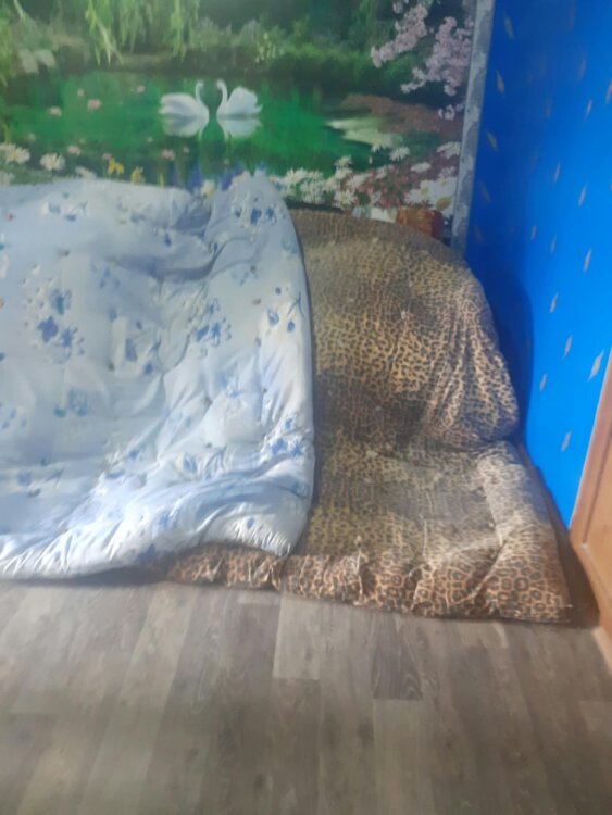 2 ватных матраца