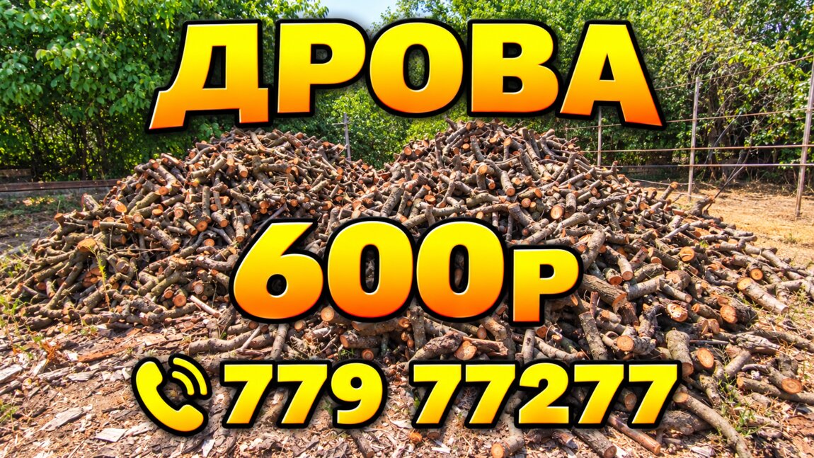 Футляр для печати