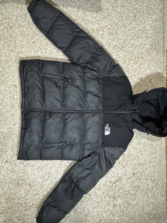 Мужская зимняя куртка The North Face (Размер L)