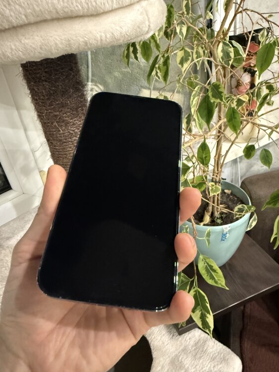 iPhone 13 Pro Max 512GB