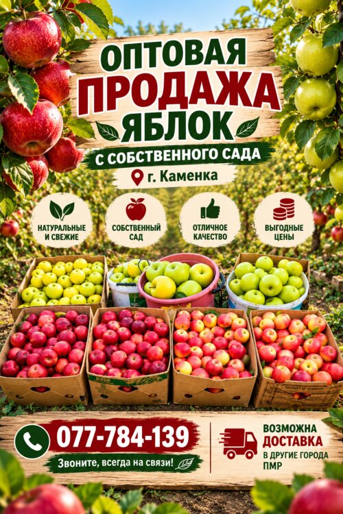 Оптовая продажа яблок
