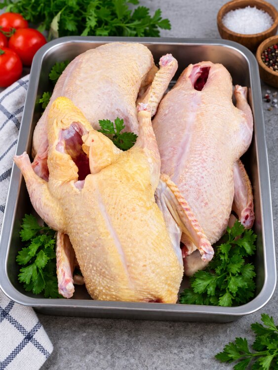 Свежее мясо индоутки
