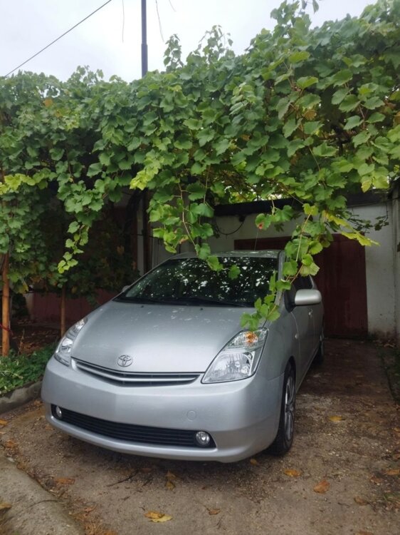 Prius 20