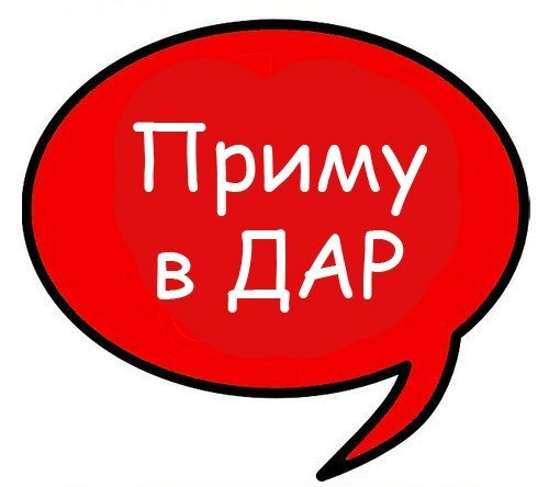 Приму в дар, в ответственные и хорошие руки, собаку мелкой породы типа
