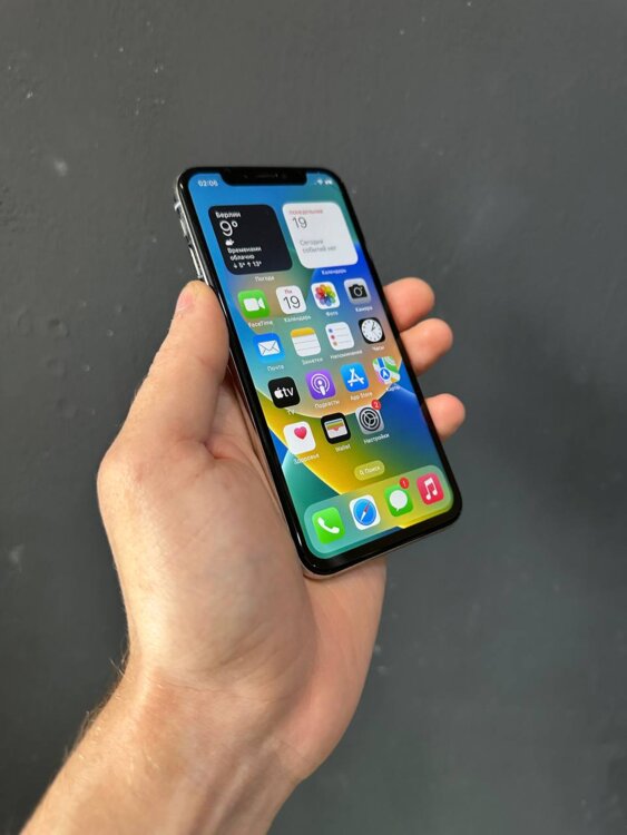 iPhone X — 256 GB / Батарея - 100%