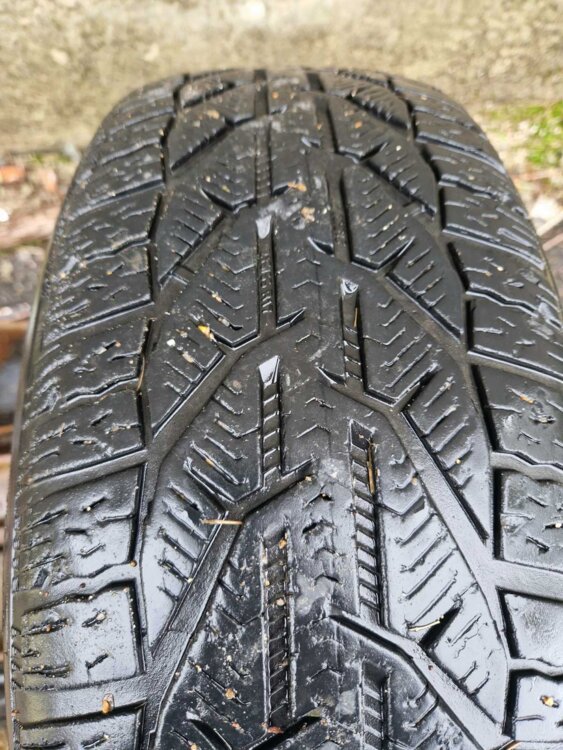 Зимние шины б/у Riken 215/55 R17