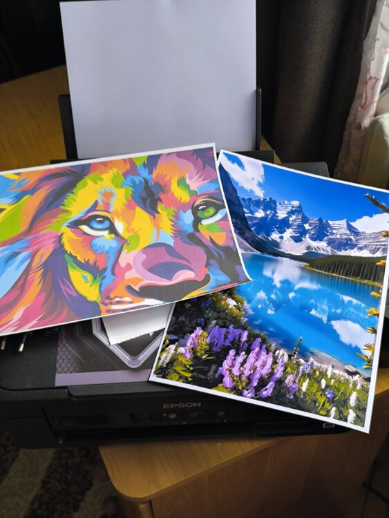 2500р МФУ EpsonL220 отличный. Бережное отношение. Своевременный прогон