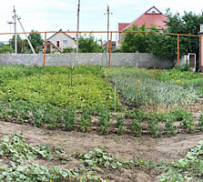 Участок под застройку, с. Варница (Varnita)