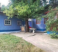 Продается дом в селе Большой Молокиш