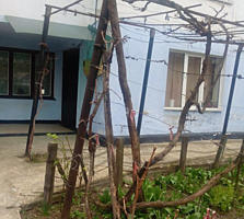 Продаётся квартира, город Новые-Анены.