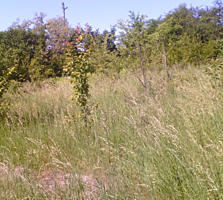 Teren linga CHISINAU (6000€)12 ari p-u construcție(agricol)scimb auto