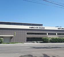 Vinzare. Ciocana str. Maria Dragan linga uzina de oglinzi.